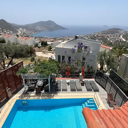 Kirlangic Villa