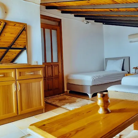 Kirlangic Villa *